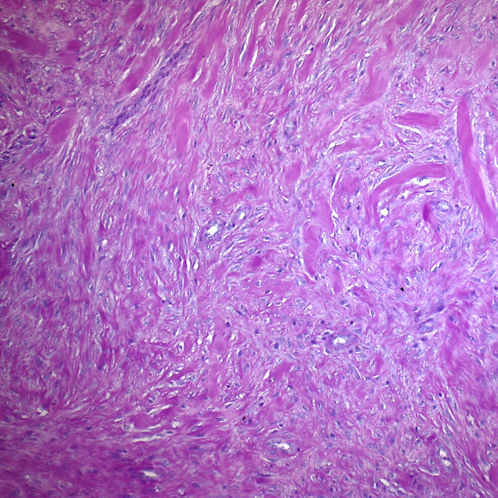 About The Scar Clinic